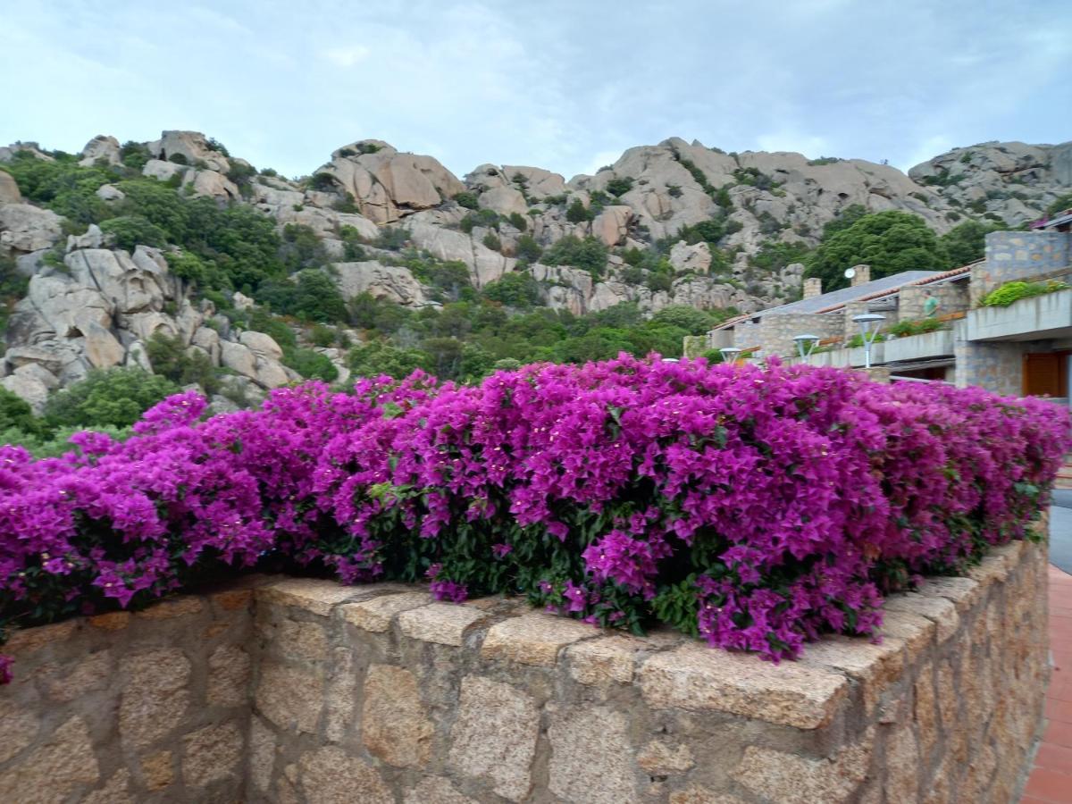 Hotel Olimpia Baja Sardinia Eksteriør bilde